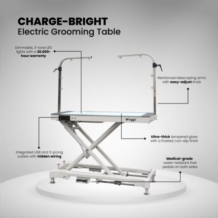 Charge Bright