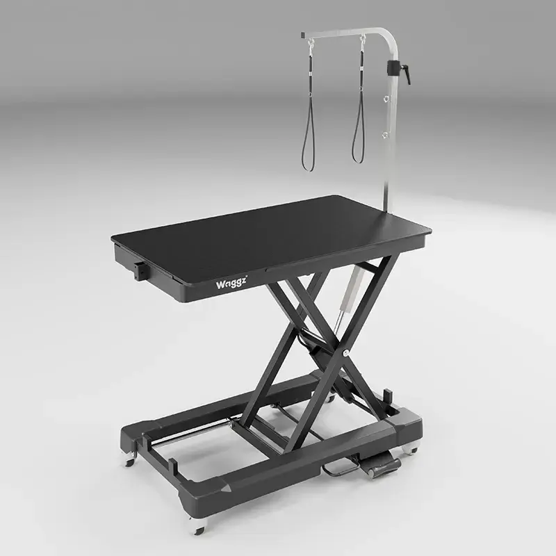 激安通販 Roll-Light Electric Waggz | (Black) Grooming Dog for Table 食器・餌やり・水やり用品