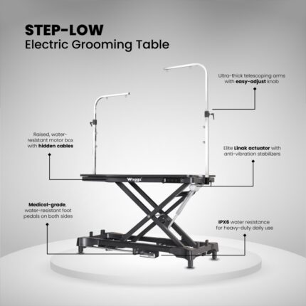 Step Low
