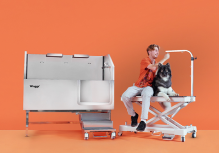 dog sitting on grooming table