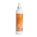 Bio Groom Spray Set Extra Hold Texturizer 12 Ounce UPC