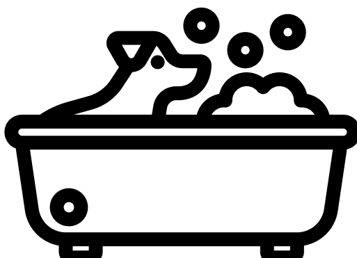 Self Wash Facility Icon