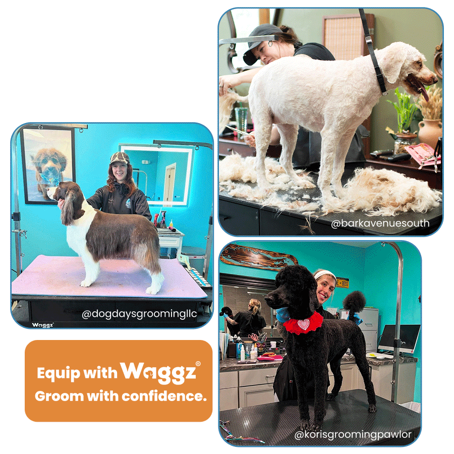 Why Groomers Worldwide Trust Waggz