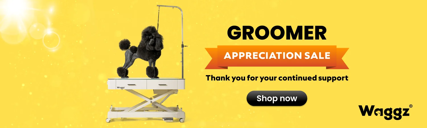 Groomer Appreciation