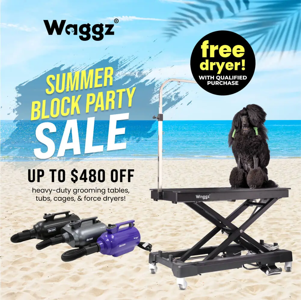 Main_Banner_Mobile_Summer_Block_Party