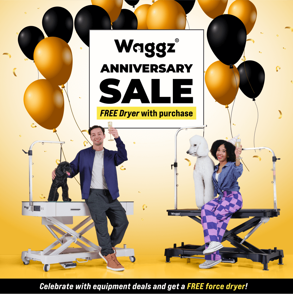 Waggz Anniversary_Main_Banner_Mobile-1