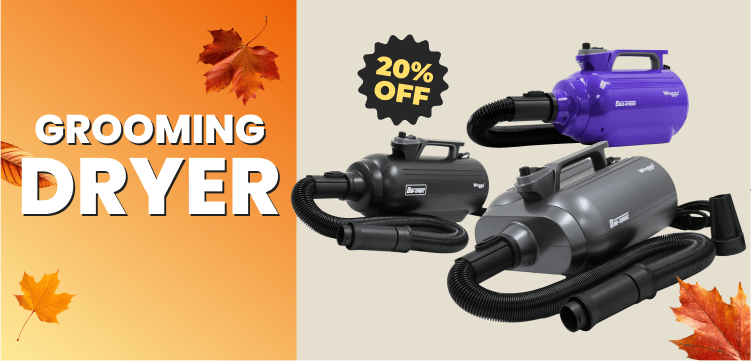 Fall Favorites Dryer
