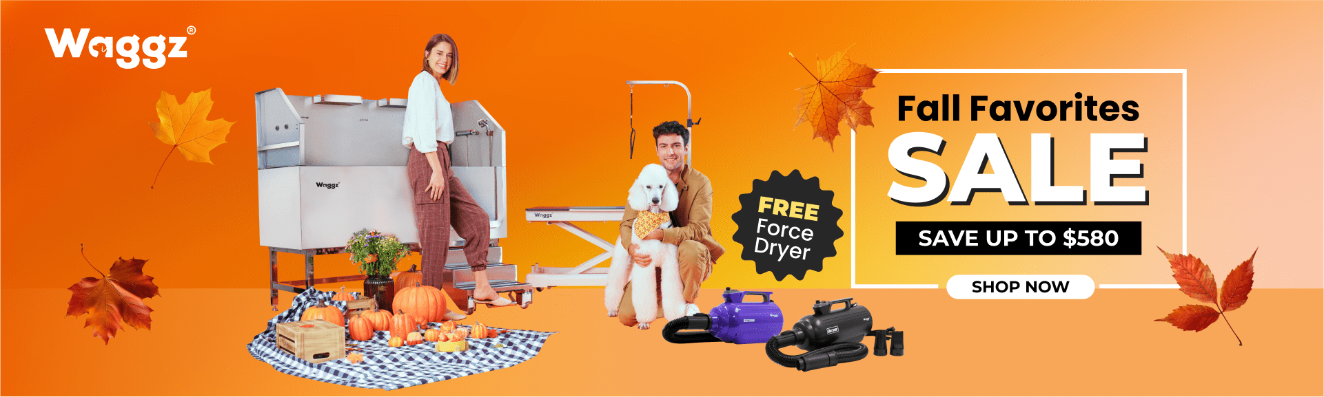 Fall_Favorites_Main_Banner_D