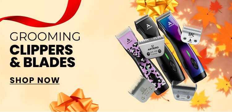 Thanksgiving Spend To Save Clippers Category