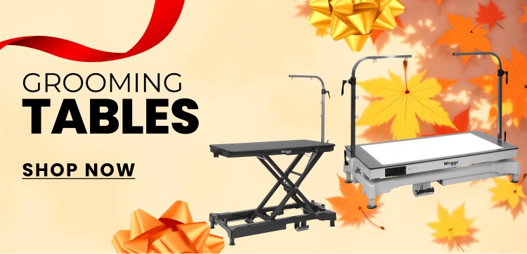 Thanksgiving Spend To Save Table Category