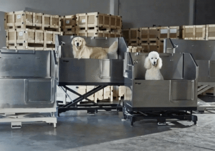 Best Professional Grooming Tubs for Large Dogs